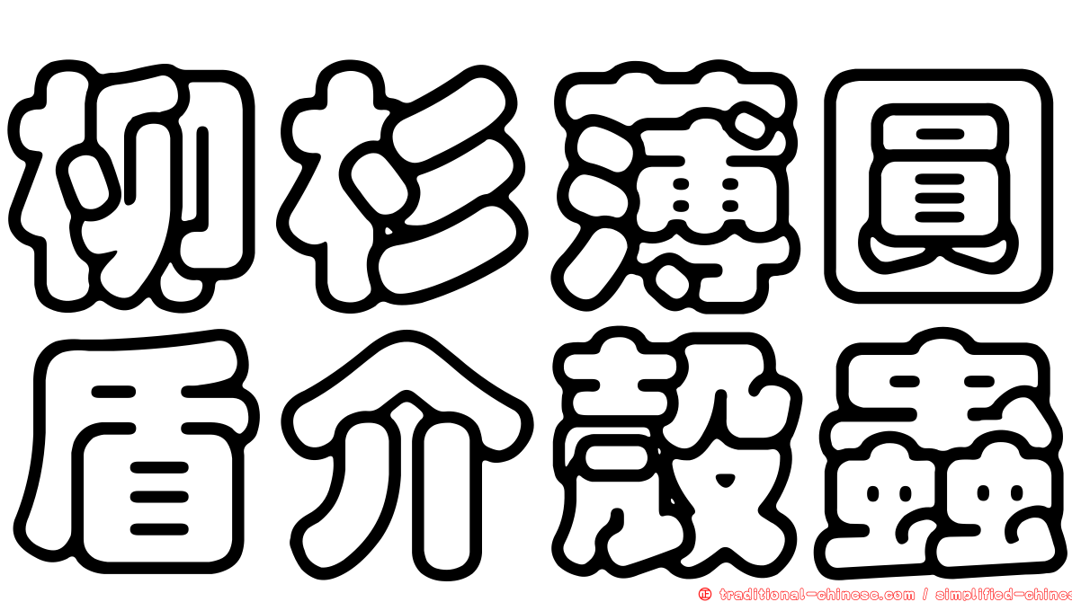 柳杉薄圓盾介殼蟲