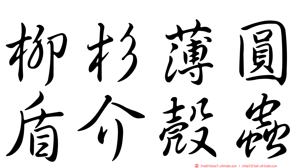 柳杉薄圓盾介殼蟲