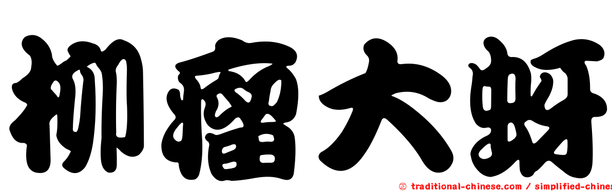 柳瘤大蚜