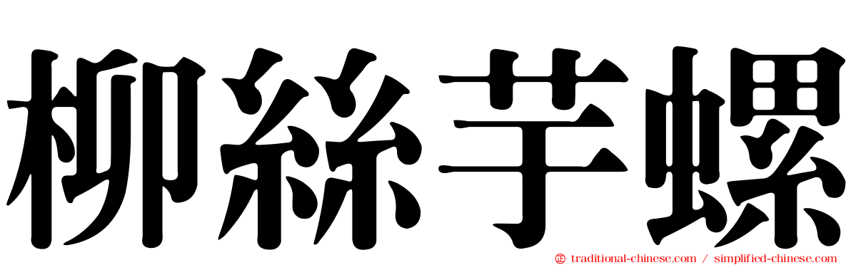 柳絲芋螺