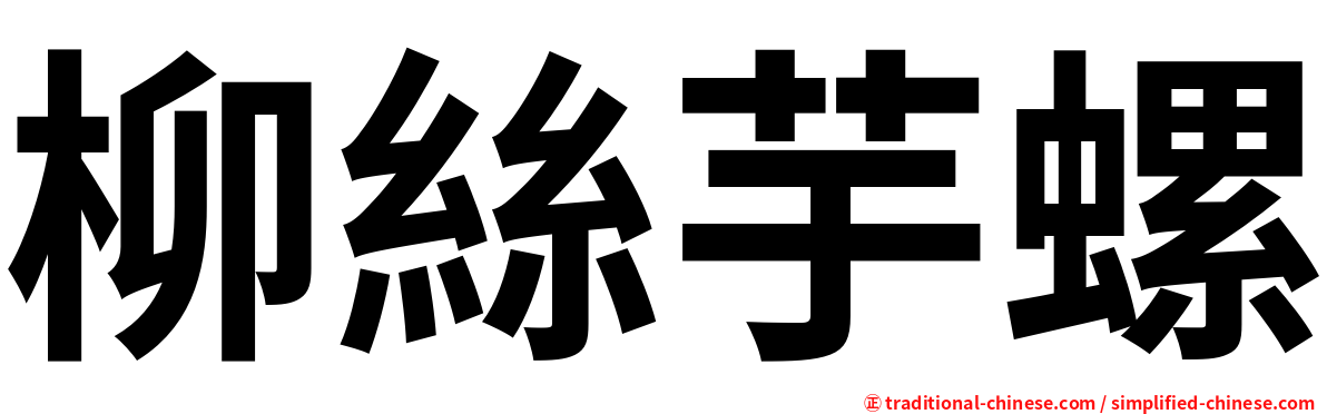 柳絲芋螺