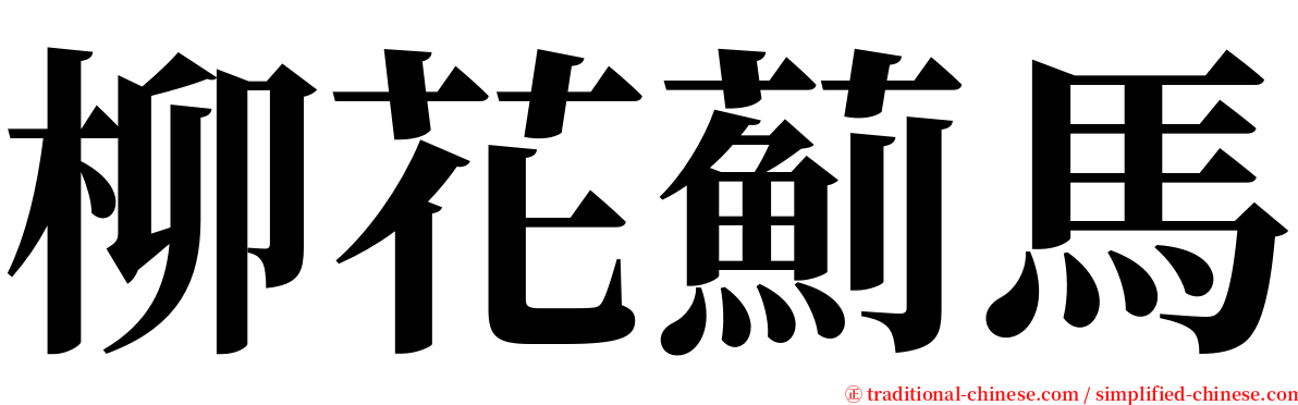 柳花薊馬 serif font