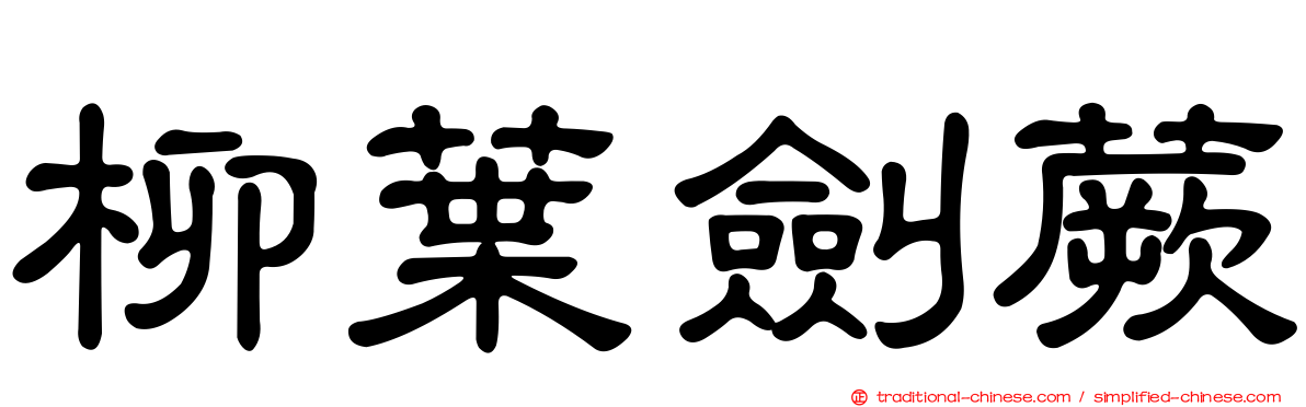 柳葉劍蕨