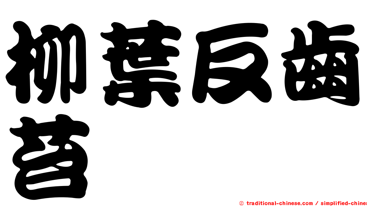 柳葉反齒苔