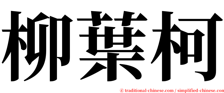 柳葉柯 serif font