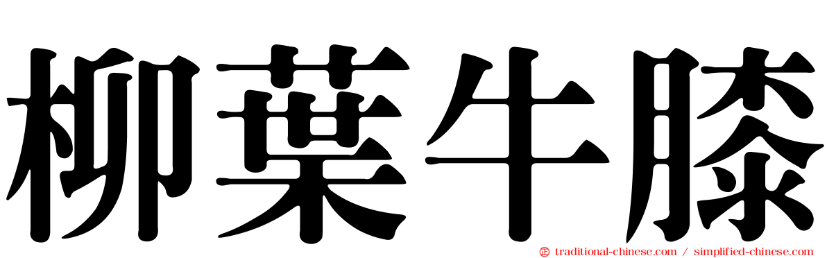 柳葉牛膝