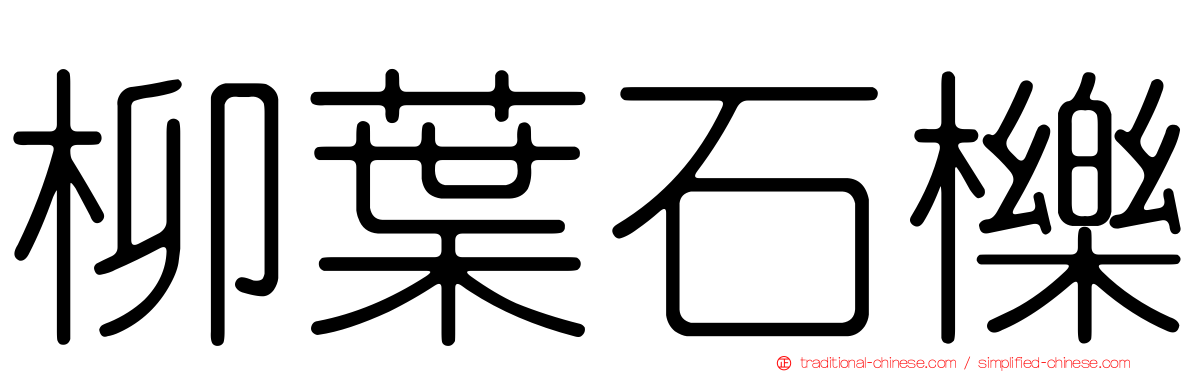 柳葉石櫟