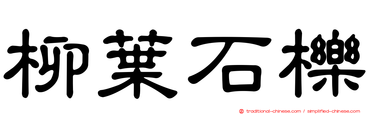 柳葉石櫟
