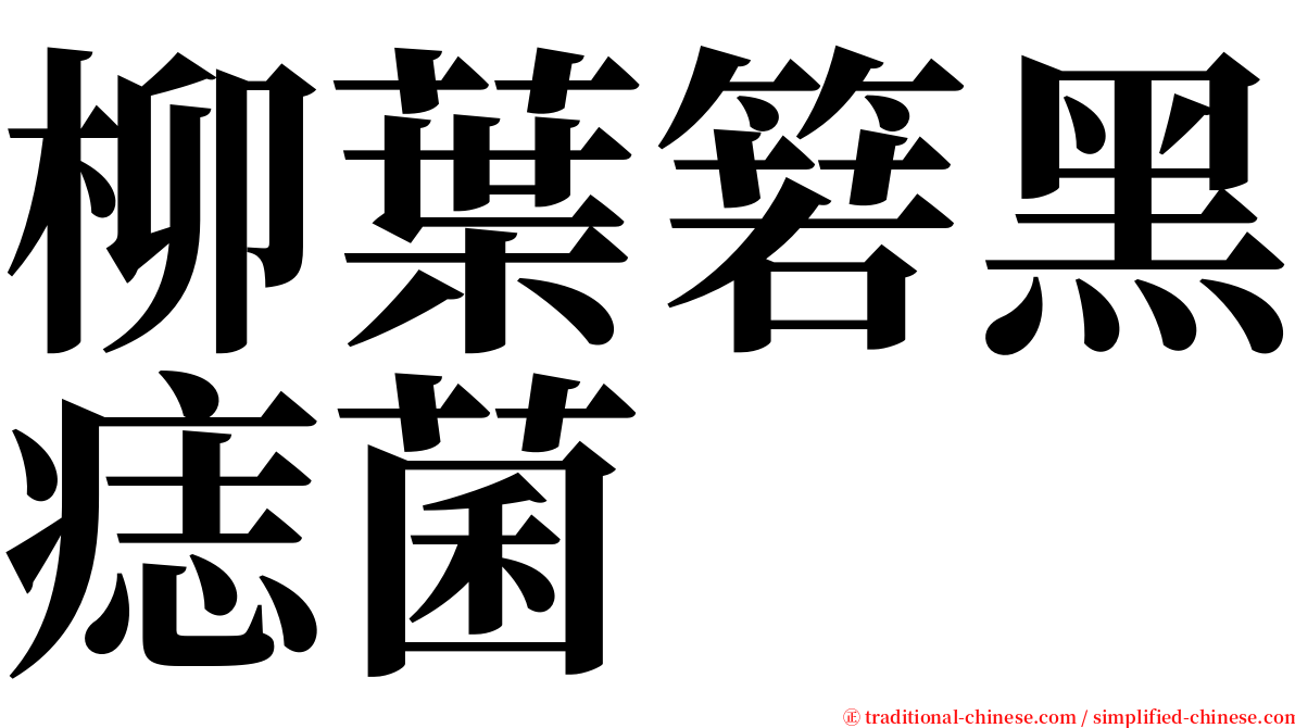 柳葉箬黑痣菌 serif font