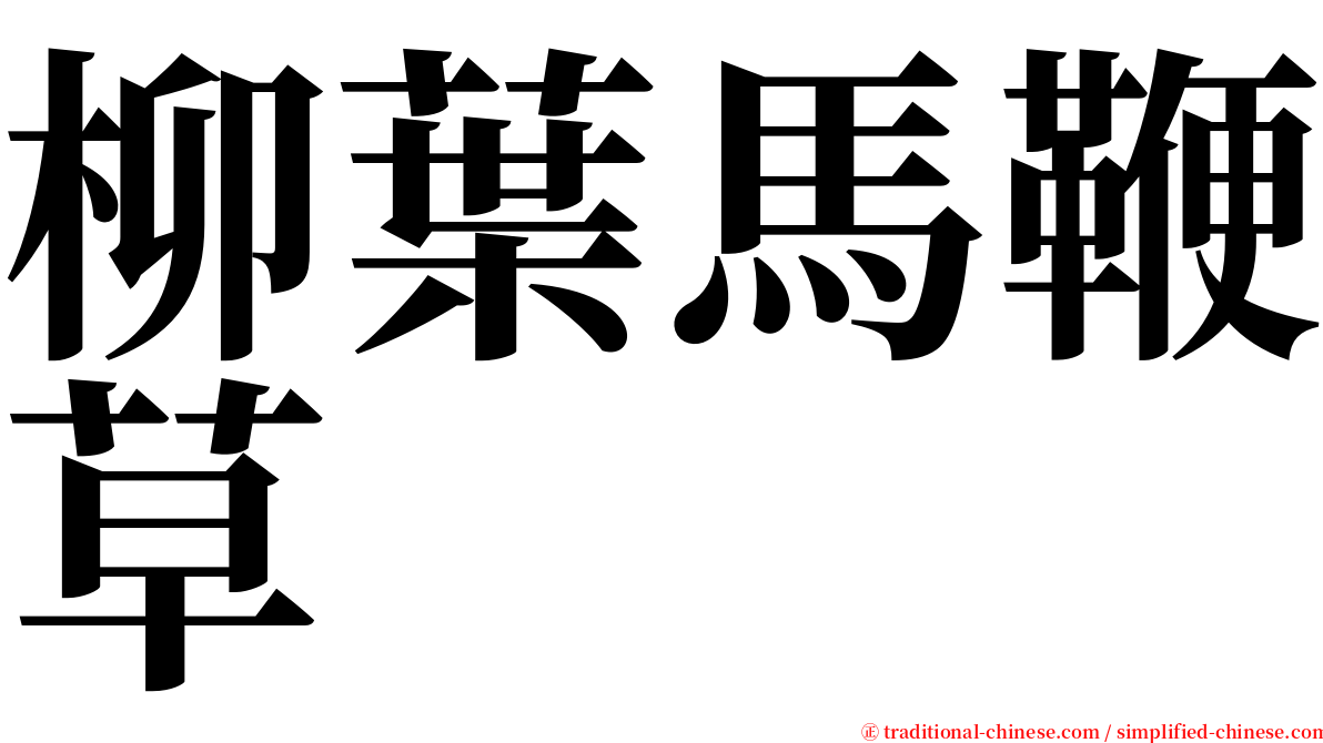 柳葉馬鞭草 serif font