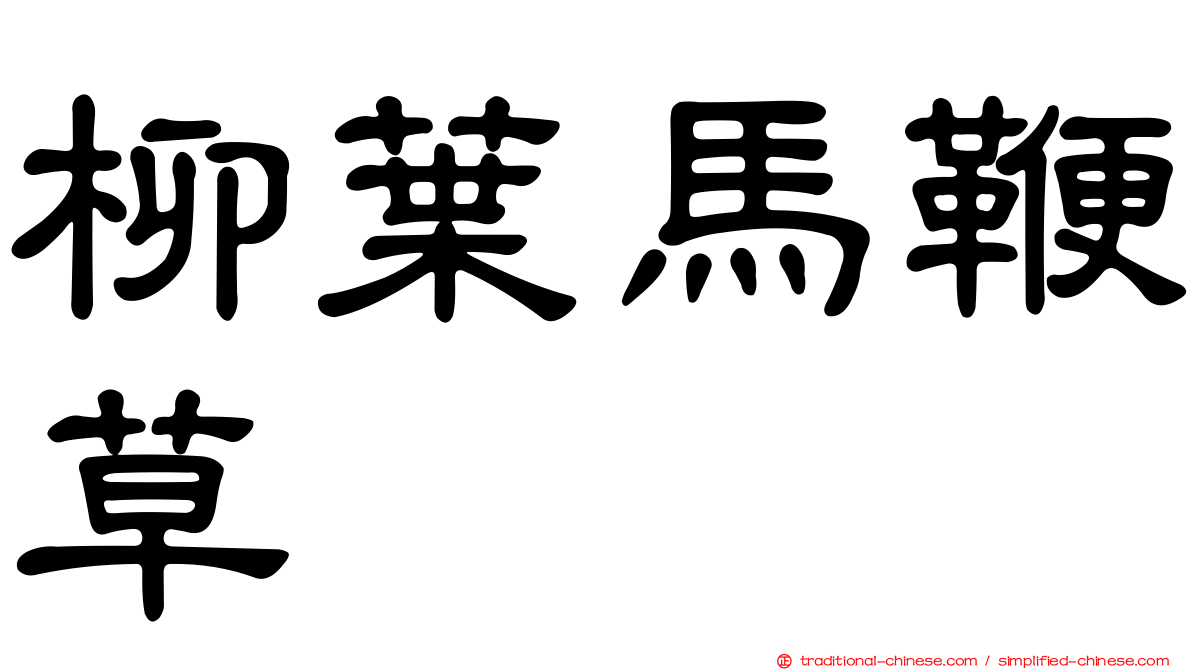 柳葉馬鞭草