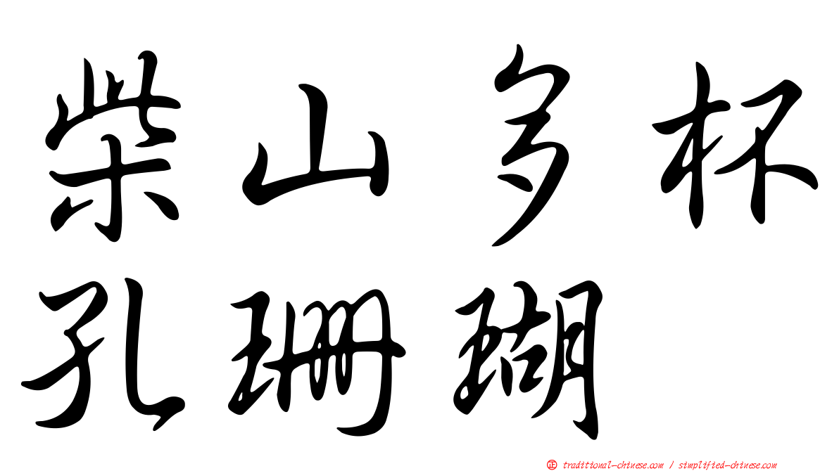 柴山多杯孔珊瑚