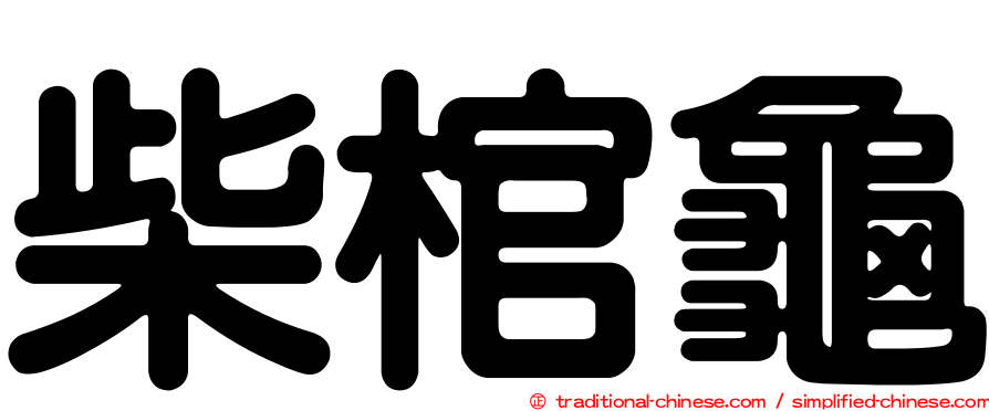 柴棺龜