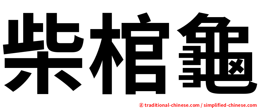 柴棺龜
