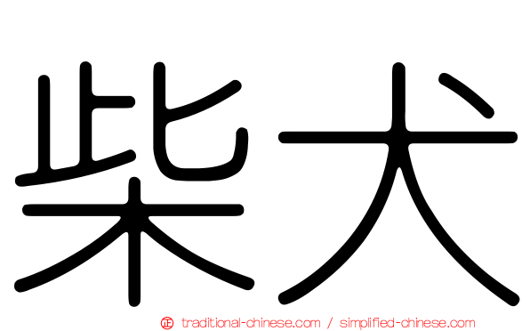 柴犬