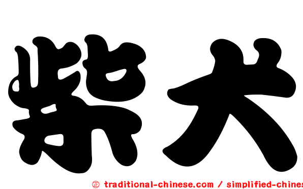 柴犬