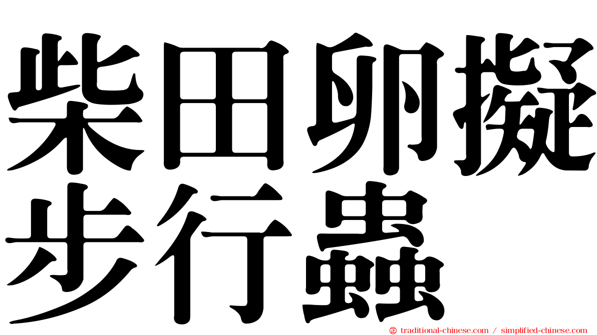 柴田卵擬步行蟲