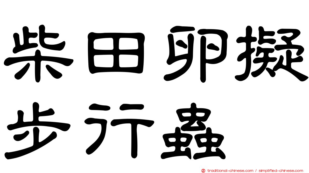柴田卵擬步行蟲
