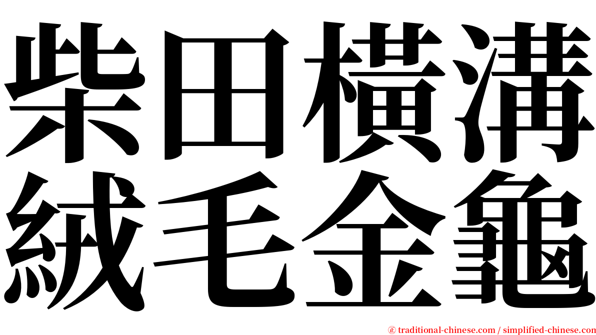 柴田橫溝絨毛金龜 serif font