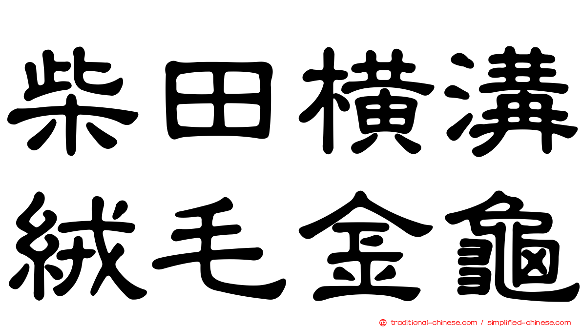 柴田橫溝絨毛金龜