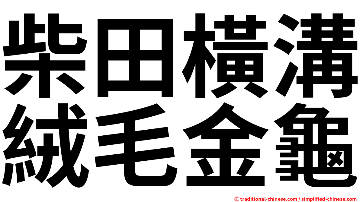 柴田橫溝絨毛金龜