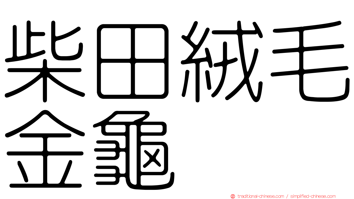 柴田絨毛金龜
