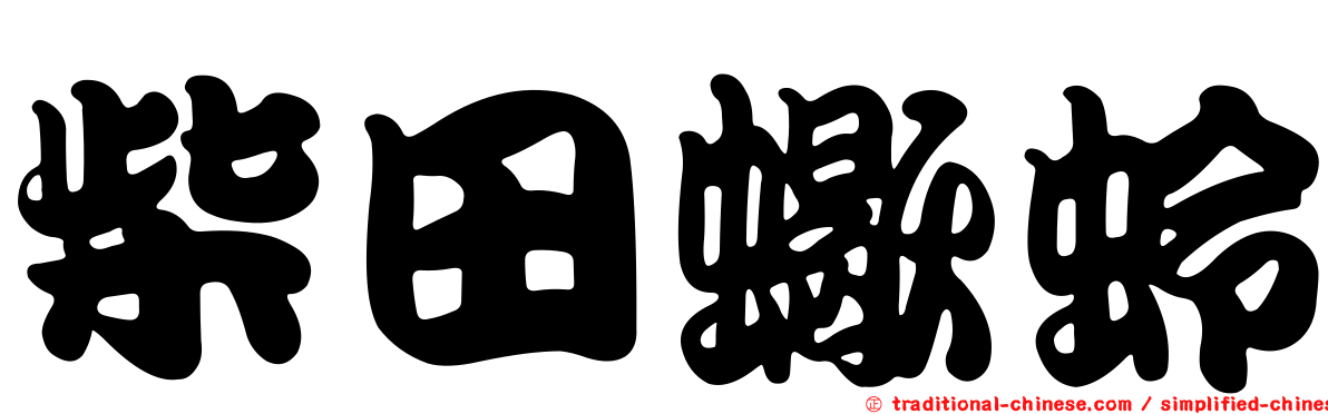 柴田蠍蛉
