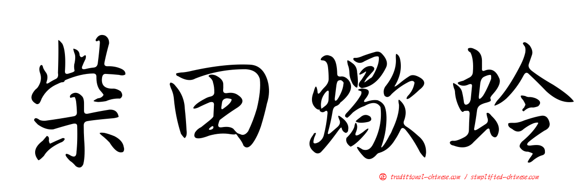 柴田蠍蛉