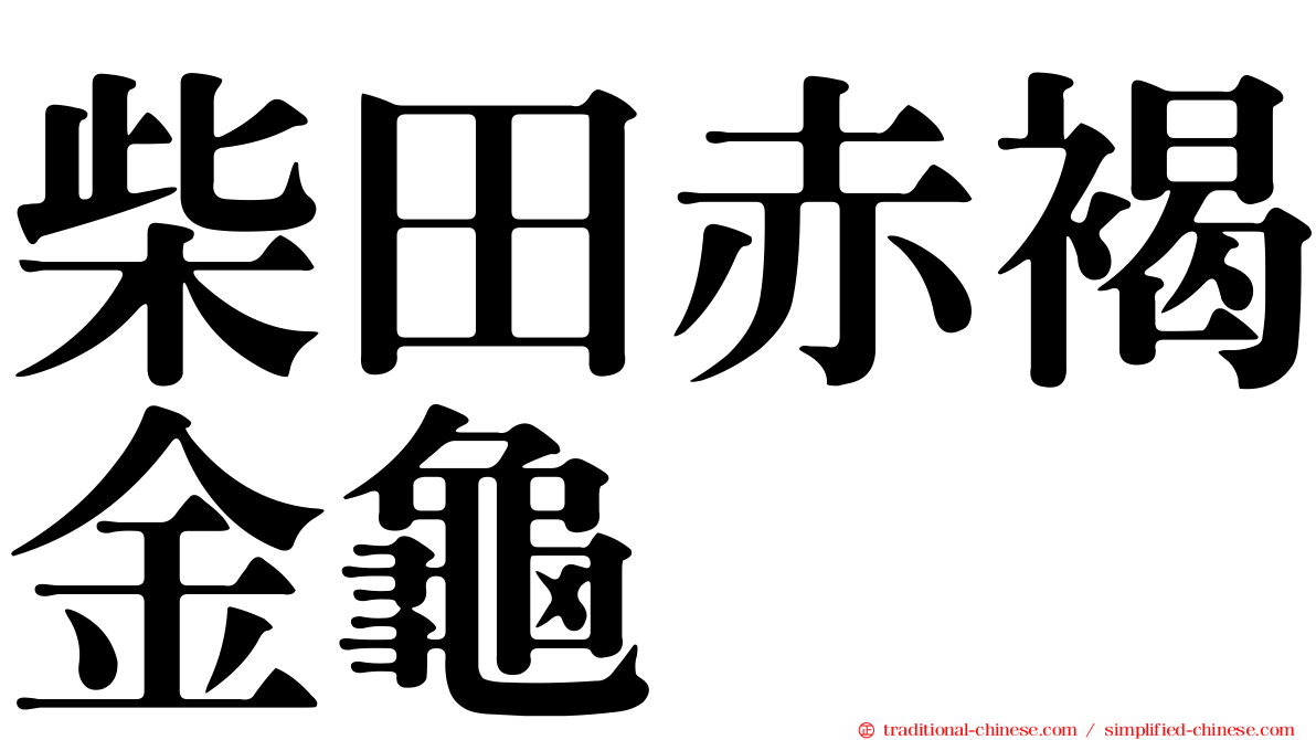 柴田赤褐金龜