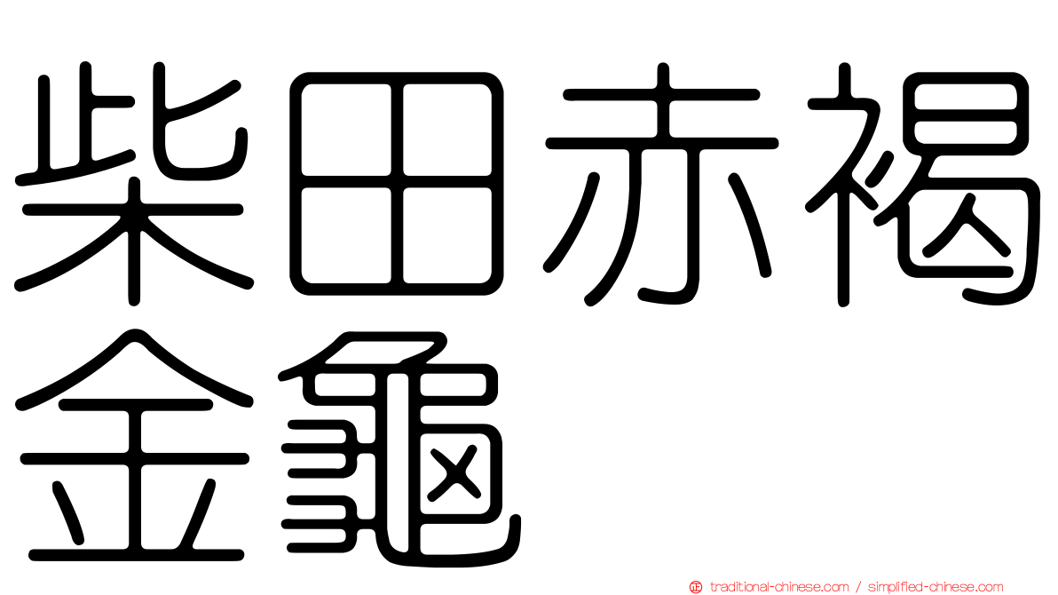 柴田赤褐金龜