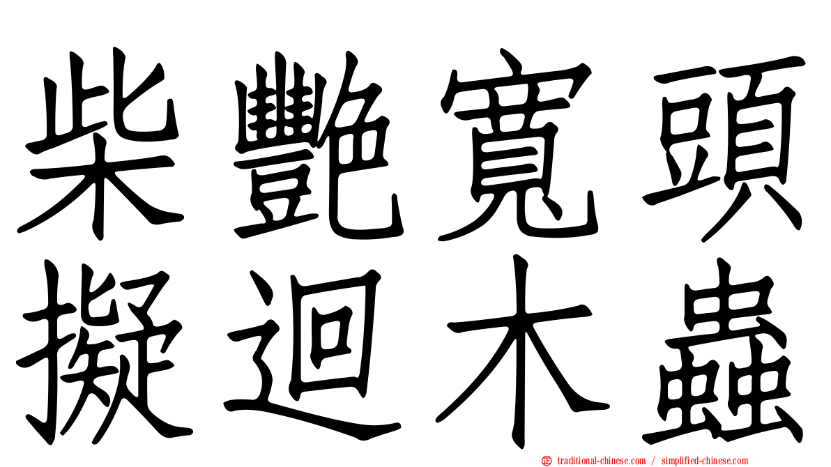 柴艷寬頭擬迴木蟲