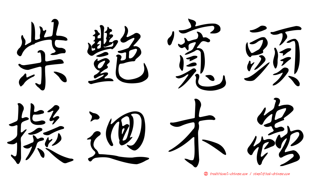 柴艷寬頭擬迴木蟲
