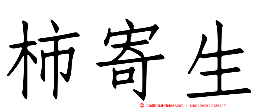 柿寄生