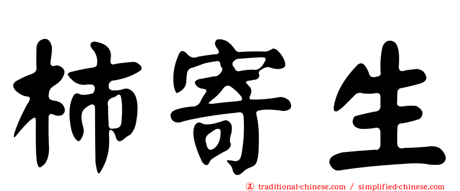 柿寄生