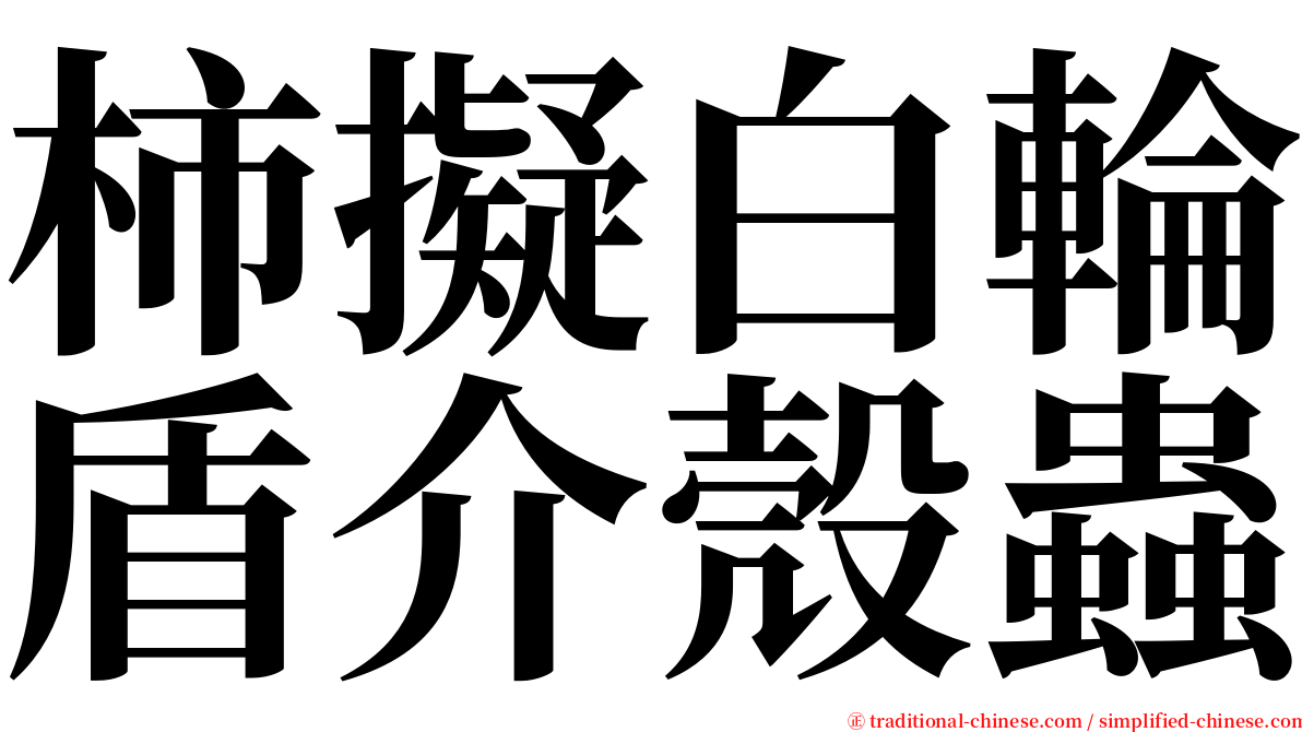 柿擬白輪盾介殼蟲 serif font