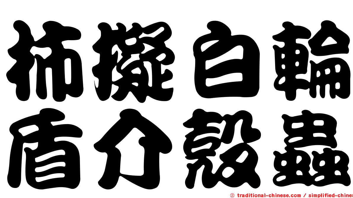 柿擬白輪盾介殼蟲