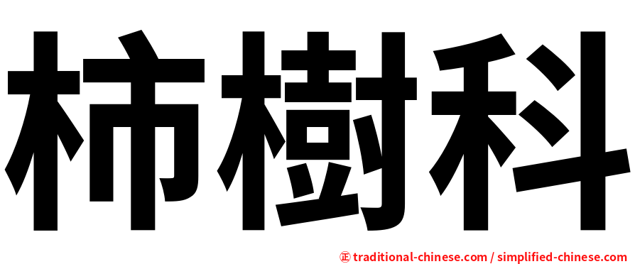 柿樹科