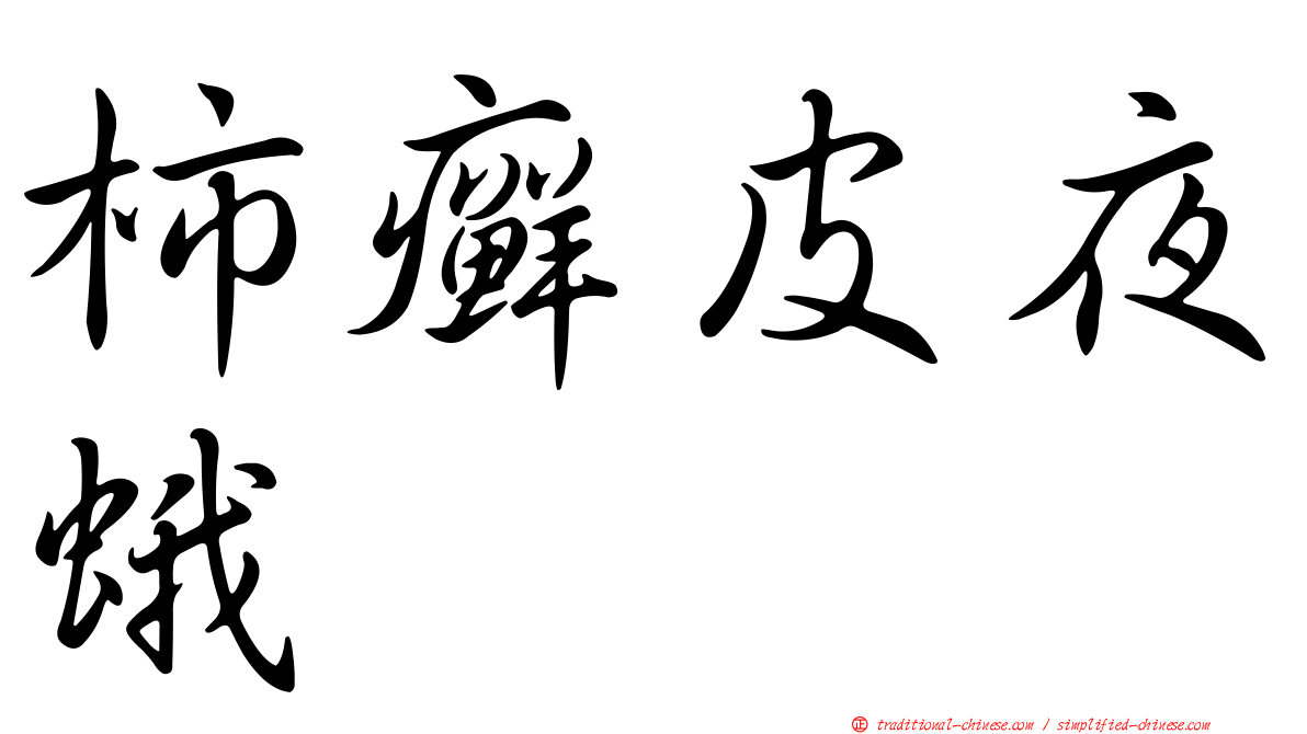 柿癬皮夜蛾