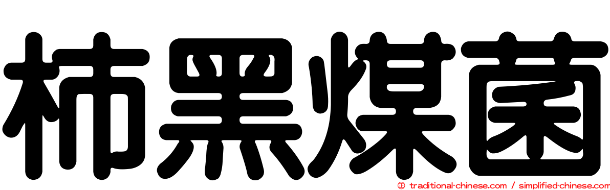 柿黑煤菌