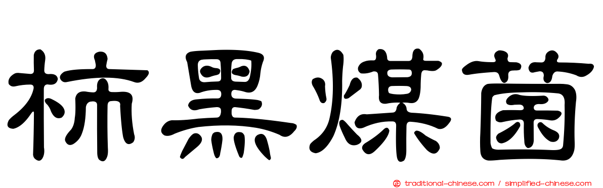 柿黑煤菌