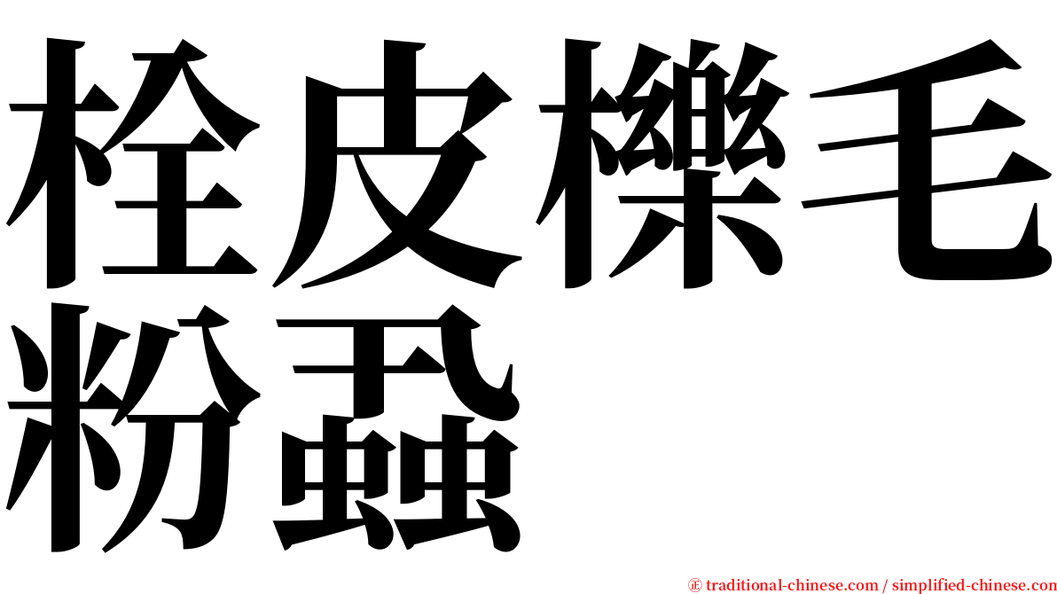 栓皮櫟毛粉蝨 serif font