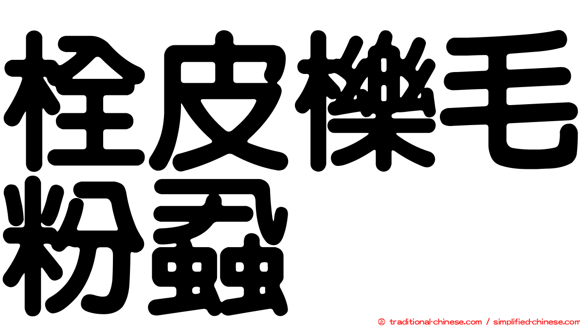 栓皮櫟毛粉蝨