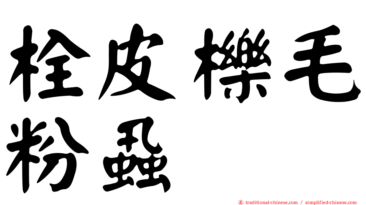 栓皮櫟毛粉蝨