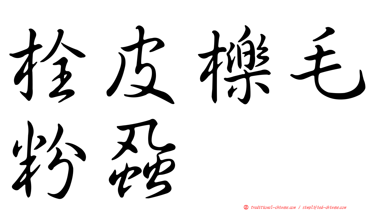 栓皮櫟毛粉蝨