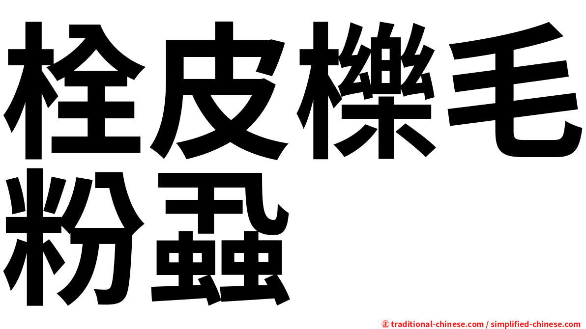 栓皮櫟毛粉蝨