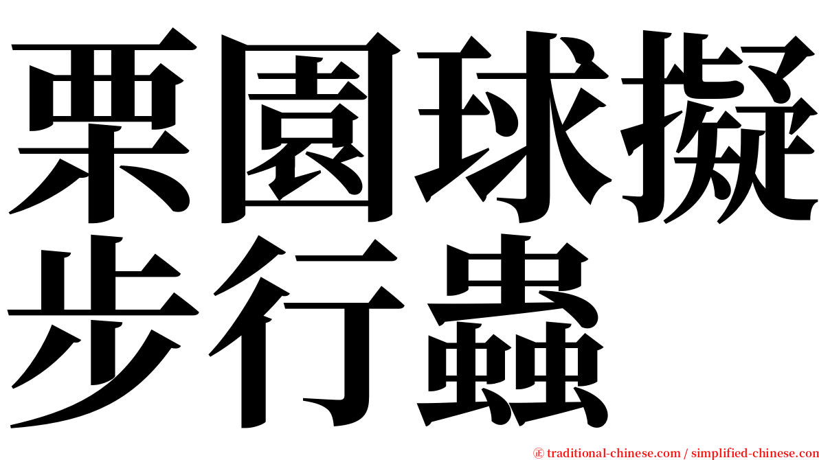 栗園球擬步行蟲 serif font