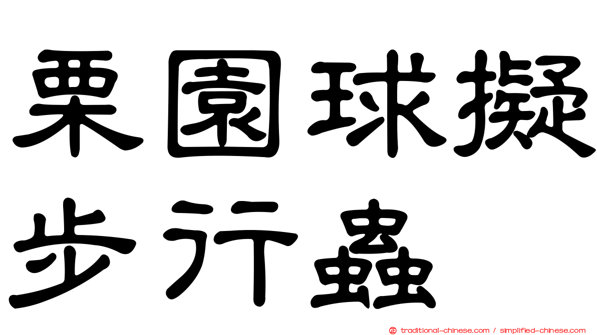栗園球擬步行蟲