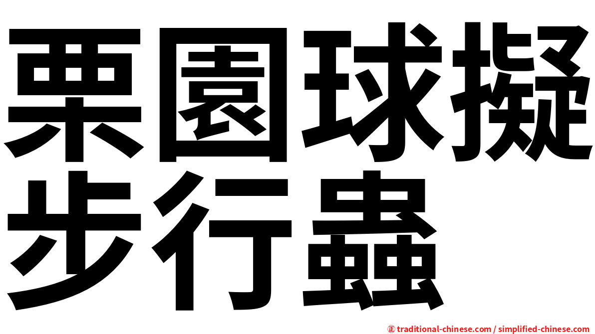 栗園球擬步行蟲