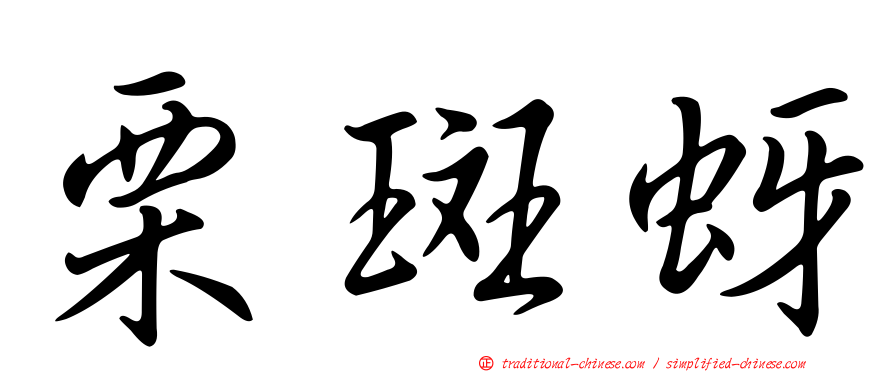 栗斑蚜