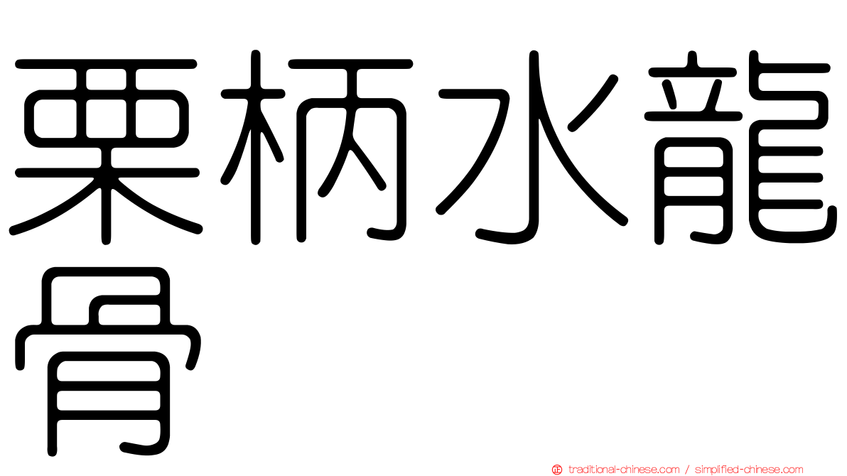 栗柄水龍骨